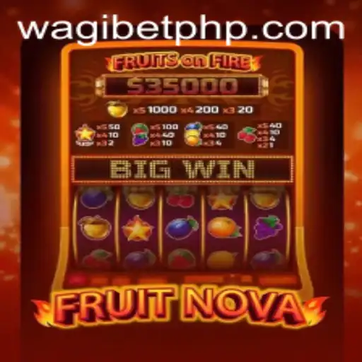 Exploring the Exciting World of FruitNova: A Game of Skill and Strategy